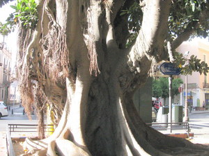 Sewilla (Sevilla)