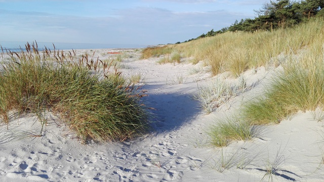 Plaża Dueodde