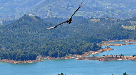 Widok z El Peñón de Guatapé, Kolumbia Widok z El Peñón de Guatapé, Kolumbia