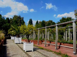 Paryż -  Parc de Bercy