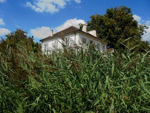 Paryż -  Parc de Bercy