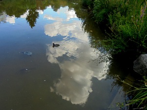 Paryż -  Parc de Bercy