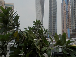 Dubaj - Marina