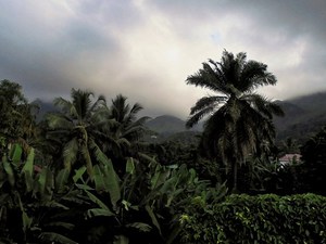 Mahé - Bel Ombre