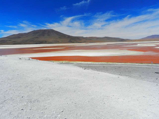 Laguna Colorada