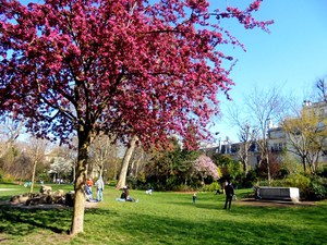 Paryż - Parc Monceau