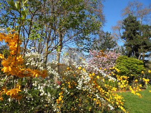 Paryż - Parc Monceau