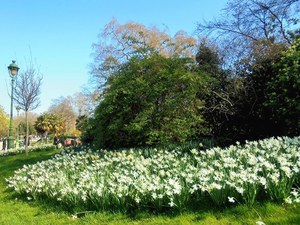 Paryż - Parc Monceau