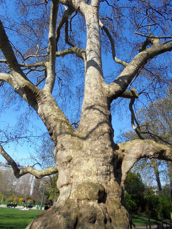 Paryż - Parc Monceau