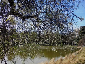 Paryż - Parc Montsouris