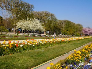 Paryż - Ogród Botaniczny