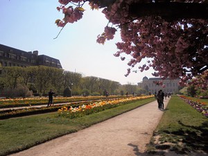 Paryż - Ogród Botaniczny