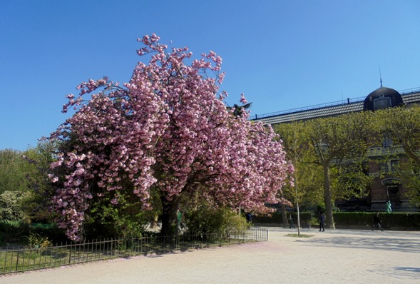 Paryż - Ogród Botaniczny
