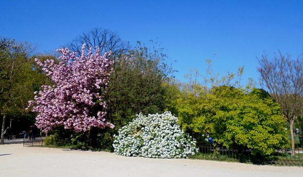 Paryż - Ogród Botaniczny
