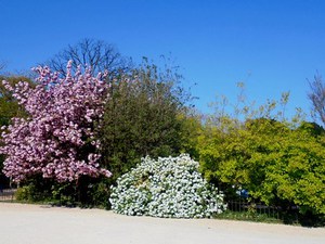 Paryż - Ogród Botaniczny