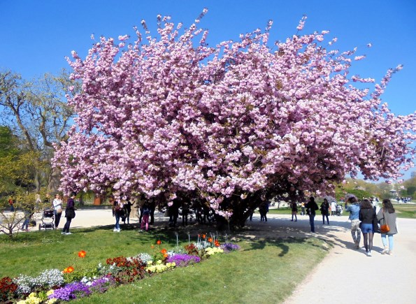 Paryż - Ogród Botaniczny