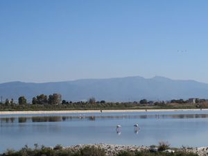 25791068 - Cagliari Flamingi na horyzoncie