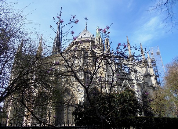 Paryż - Katedra Notre Dame