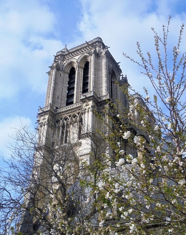 Paryż - Katedra Notre Dame