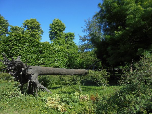 Paryż - Ogrody Tuileries
