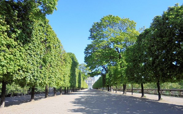 Paryż - Ogrody Tuileries