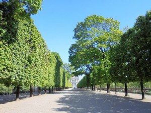 Paryż - Ogrody Tuileries