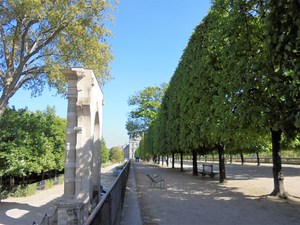 Paryż - Ogrody Tuileries