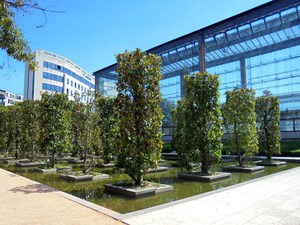 Paryż - Parc André Citroën