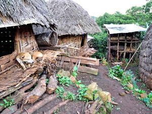 Wieś plemienia Dorze 