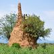 Potężny kopiec termitów w rejonie Konso 