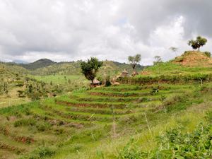 500-letnie tarasy rolnicze w rejonie Konso (UNESCO)