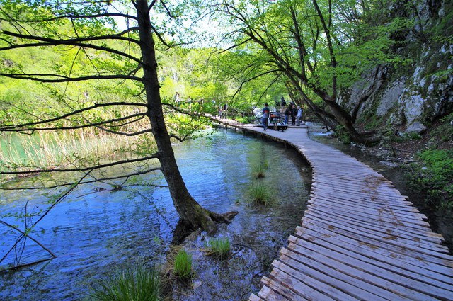 Plitvice  22 