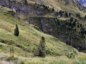 Alpejskie łąki