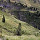 Alpejskie łąki