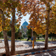 Sanktuarium za jesiennymi drzewami