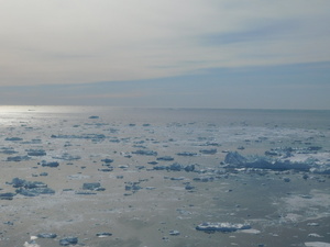 Nad Lodowym Fiordem Ilulissat (Kangia)