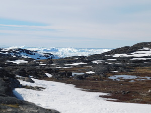 Okolice Ilulissat