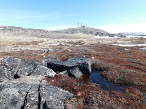 Okolice Ilulissat