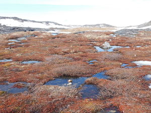 Okolice Ilulissat