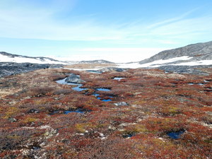 Okolice Ilulissat