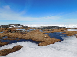 Okolice Ilulissat