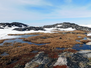 Okolice Ilulissat