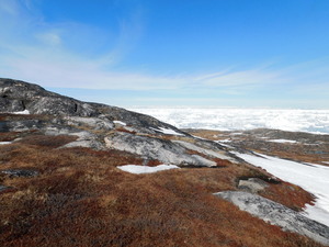 Okolice Ilulissat