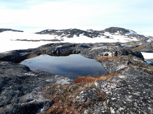 Okolice Ilulissat