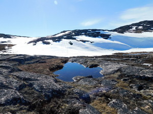 Okolice Ilulissat