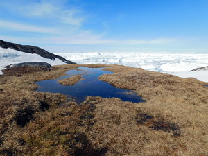 Okolice Ilulissat