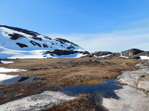 Okolice Ilulissat