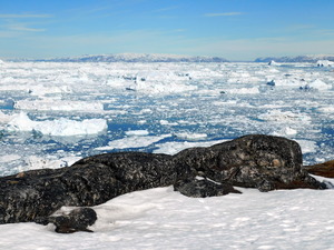 Okolice Ilulissat