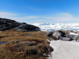 Okolice Ilulissat