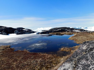 Okolice Ilulissat